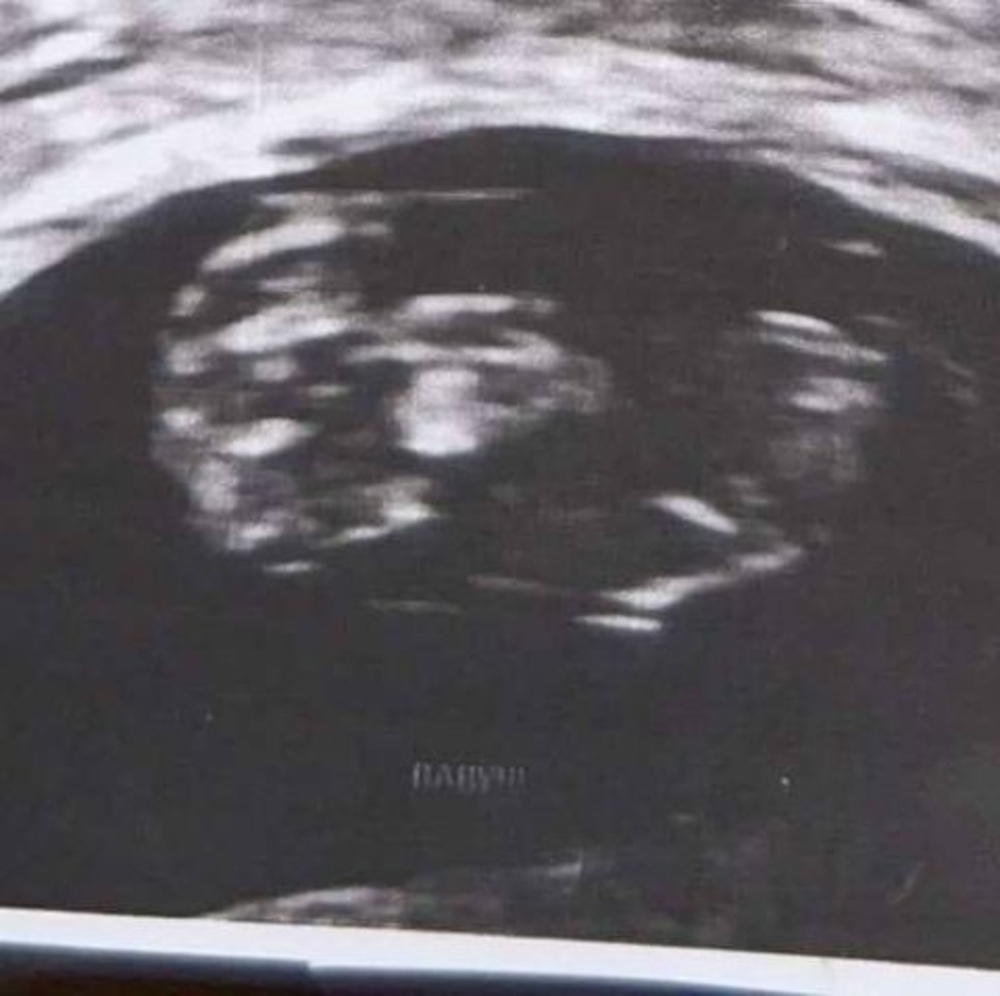 Meet your Posher, Lexi